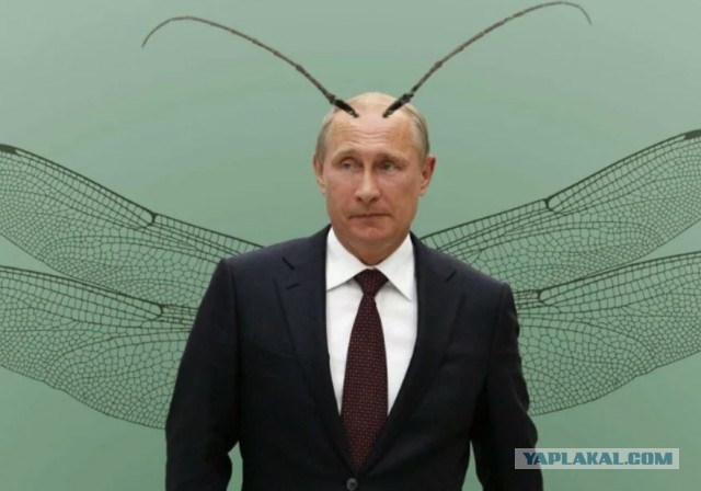 Путин поручил ЦИК обеспечить безопасность выборов и исключить внешнее вмешательство