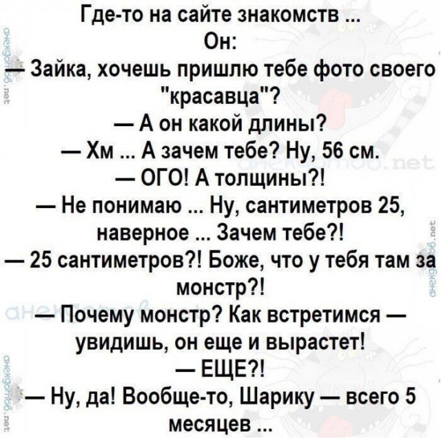 Воскресные картинки