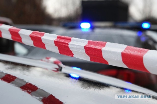 На западе Москвы нашли тело девушки с многочисленными ножевыми ранениями