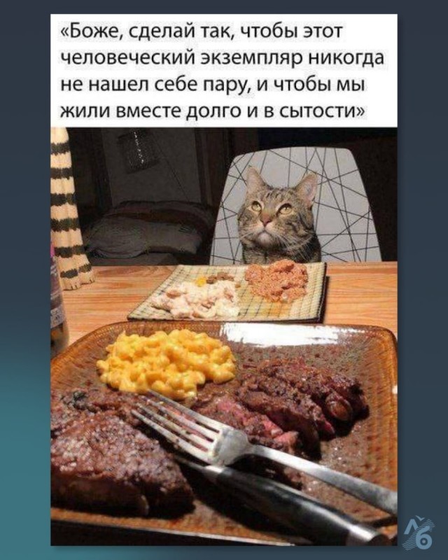 Деградация