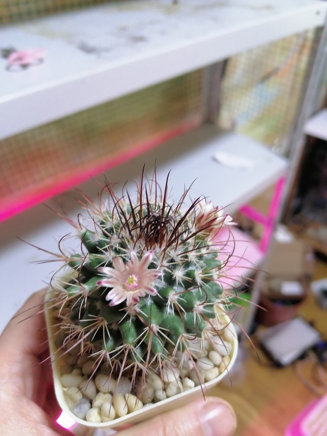 Поздравляю всех причастных с праздником!