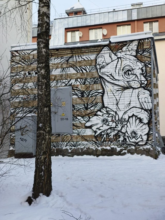 Уличное творчество - 16