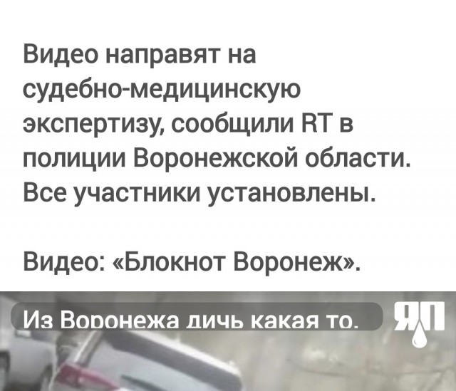Из Воронежа дичь какая-то