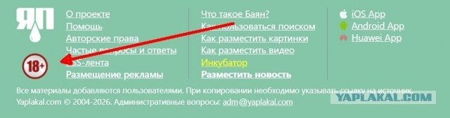 Американский музей домашней кошки