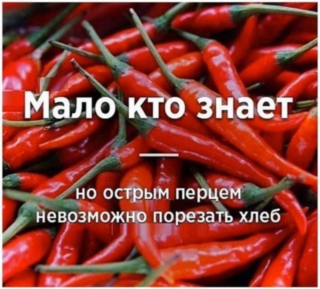 Картинки для деградации 285 (разной степени свежести)