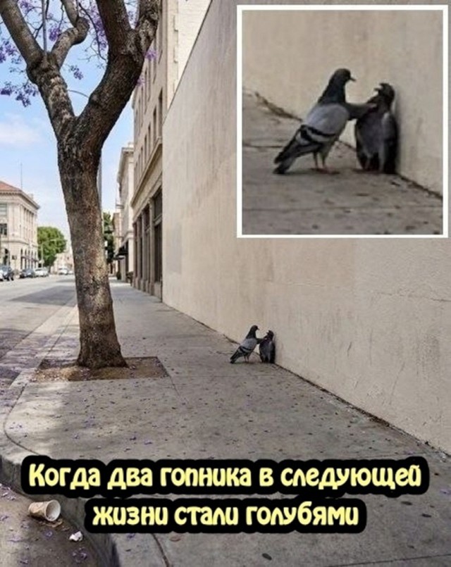 Так себе картинки 29.09.26