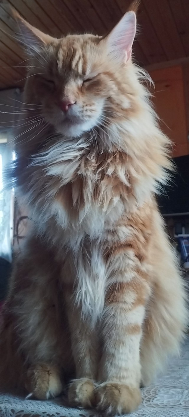 18 лет!