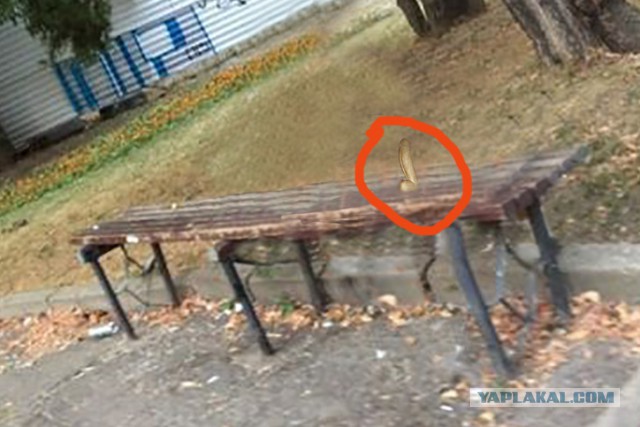 Она сидела так почти час...