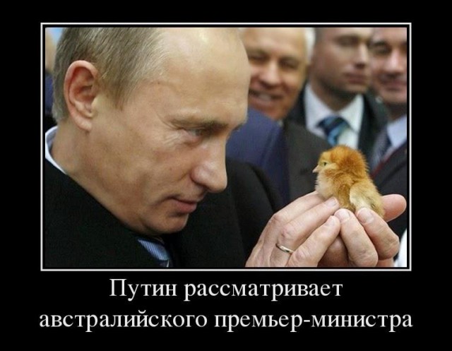 Эббот собрался "атаковать" Путина в Австралии.