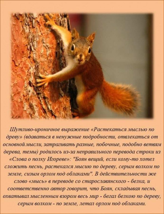 20 фактов обо всем