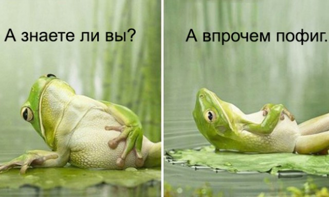 Вторничные картинки