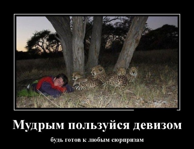 Женский сюрприз