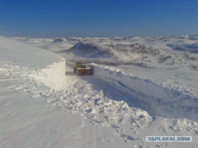 Из жизни долболобов