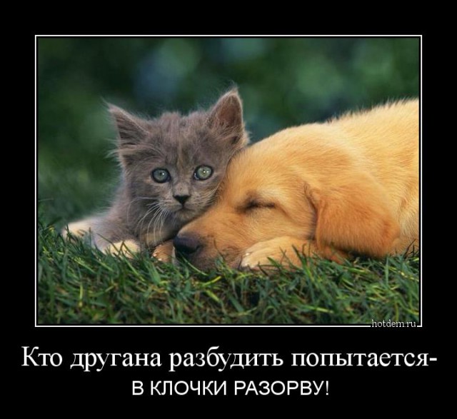 Позитивная подборка демотиваторов