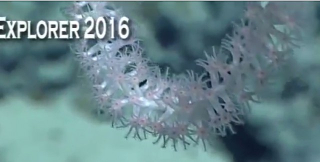 Началась онлайн-трансляция происходящего в самом глубоком месте Земли