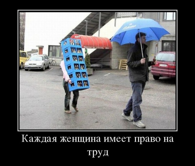 Демотиваторы на вторник