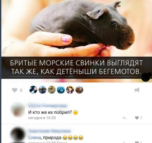 Ужасы и приколы из соцсетей 18+
