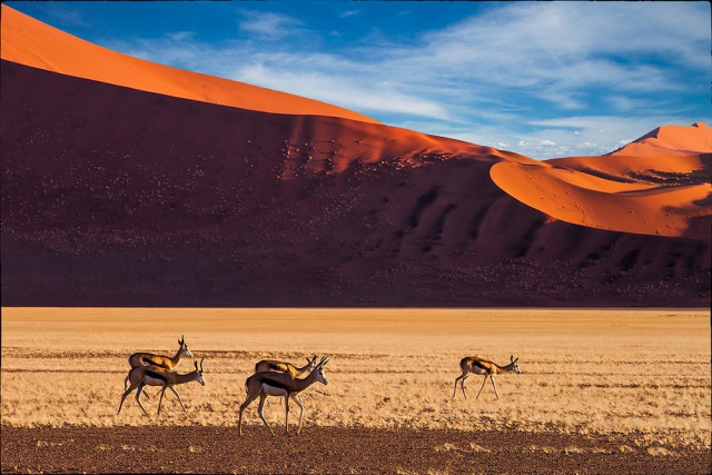 Экспедиция в Долину Смерти.