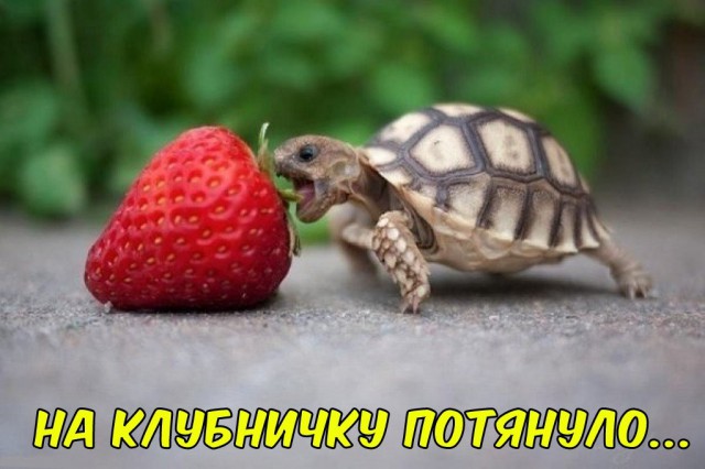 Картинки, интересные и веселые