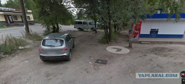 Такое время — страшно за собак