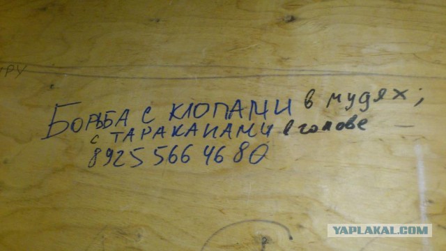 Уличные надписи с глубоким смыслом