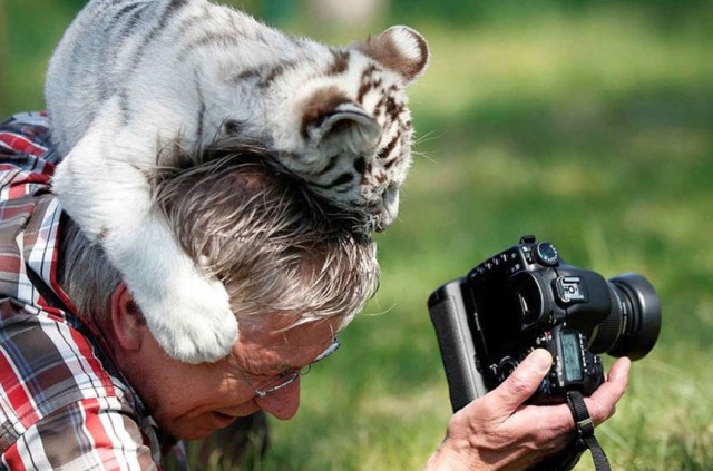 Дикие компаньоны фотографа-натуралиста