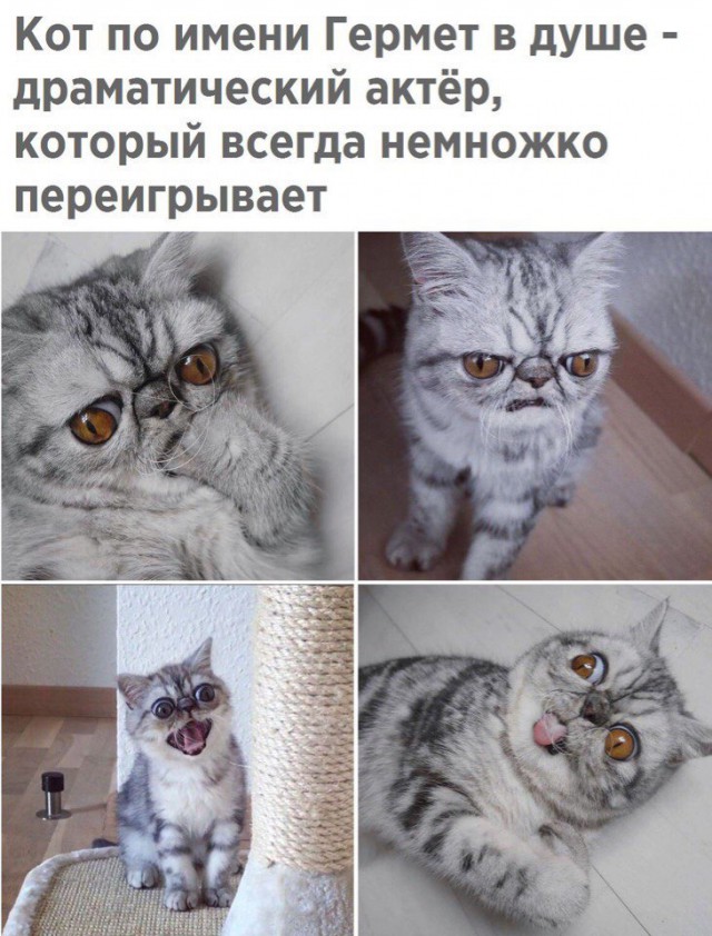 Подборка интересных и веселых картинок