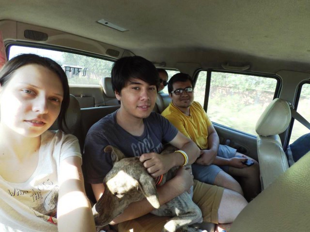 Полтора месяца безделья или "Первое семейное бюджетное путешествие"