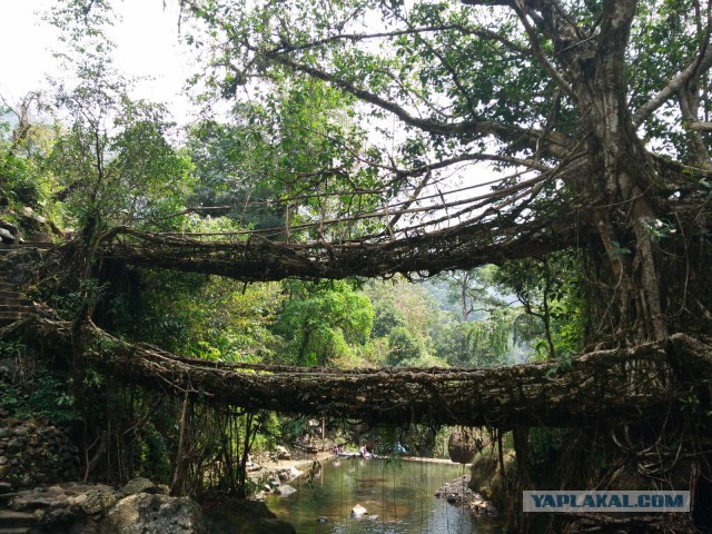 Лично мне не нужен берег турецкий
