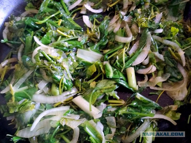 Кулинары поздравляют ЯП с днём рождения!