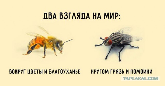 Западные СМИ разоблачили большой русский обман на ЧМ