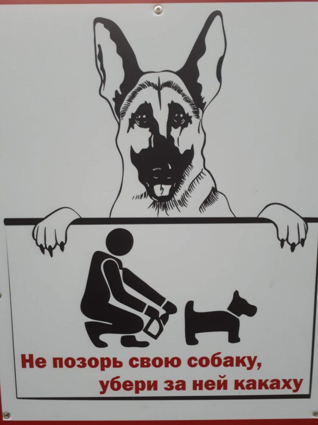 Есть немного чернушки. Надо?