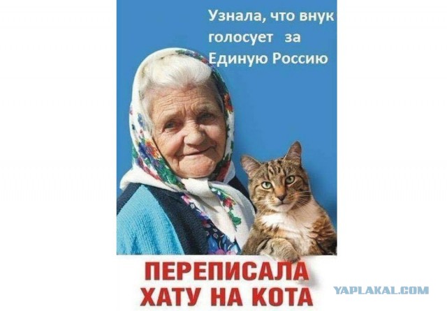 Много картинок в эту пятницу