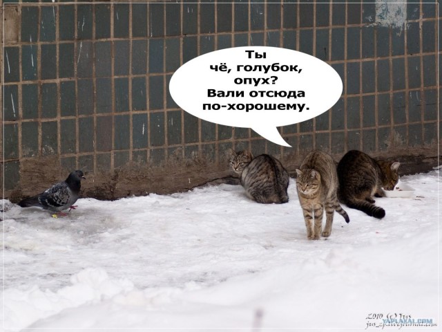 Потерявший страх!