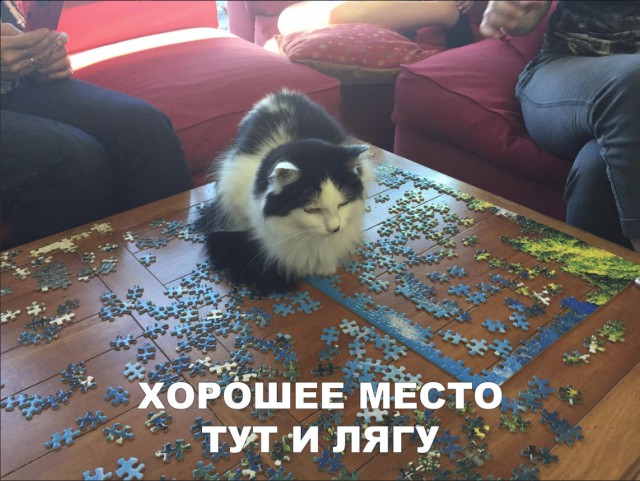 Немного милоты