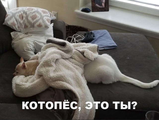 Нестандартный юмор