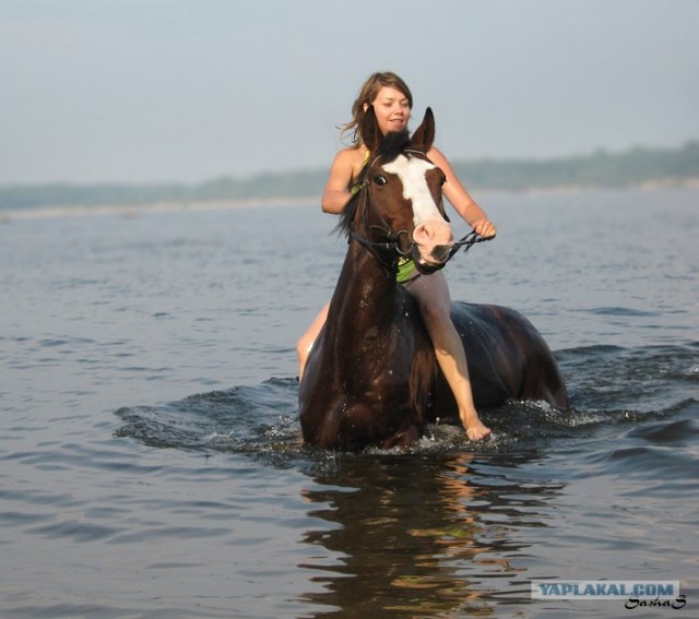 Кони, девушки и море