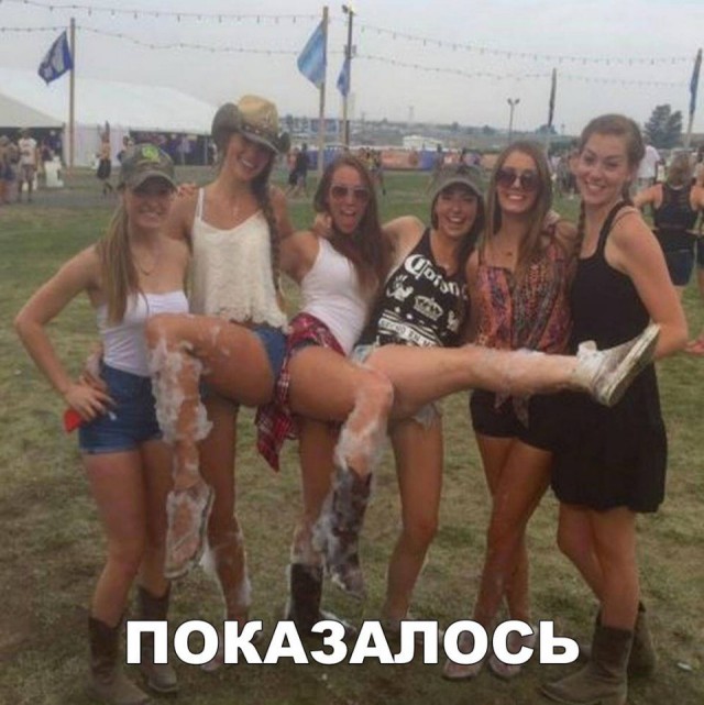 Лента прикольных картинок