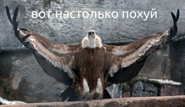 Три корабля ВМС Украины пересекли российскую границу