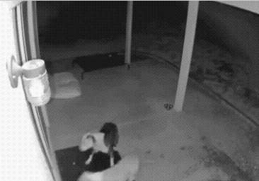 Напокупают же прав!