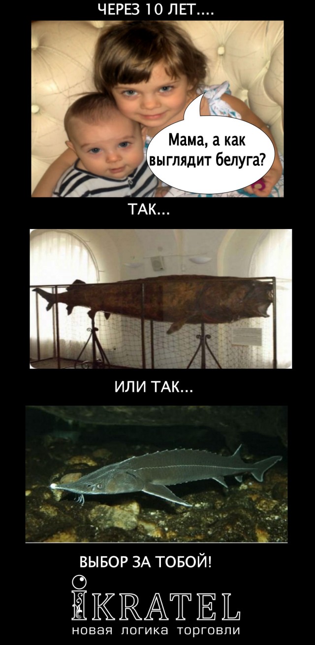 Конкурс на лучшую фотожабу против браконьеров.