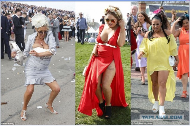 Ladies Day 2019