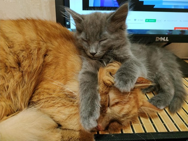 Сам себе фотограф