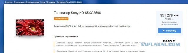 «Аэрофлот» лишил пассажира бонусных миль за перевозку толстого кота в самолете
