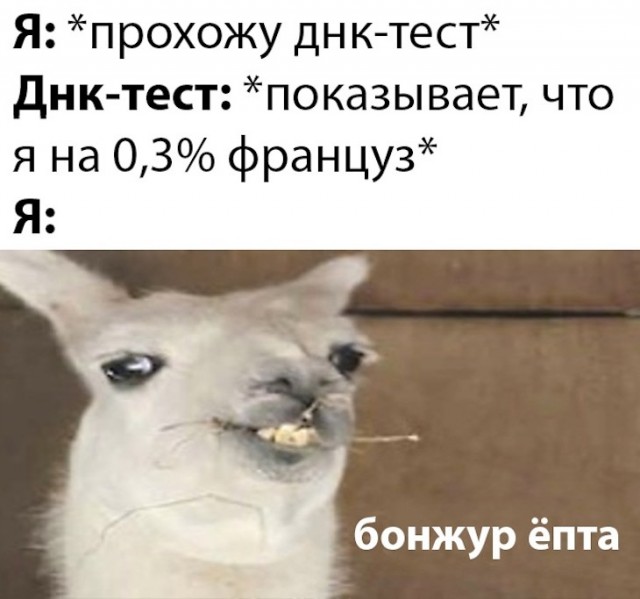 Немного картинок для настроения 22.02.20