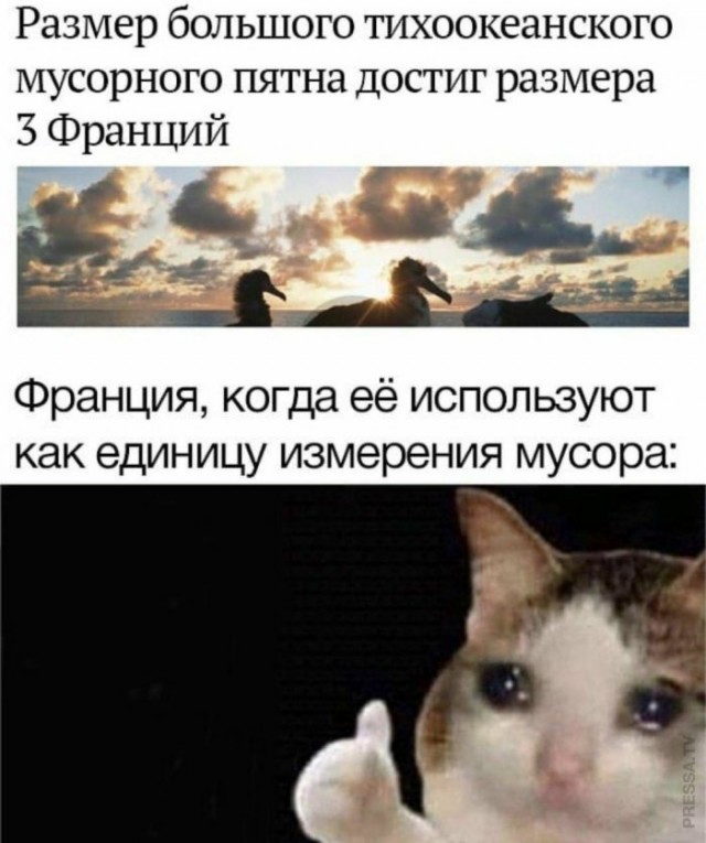 Немного картинок для настроения 22.08.20