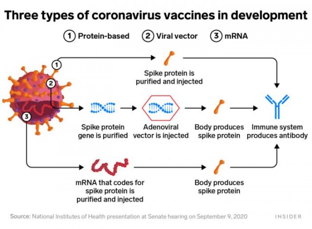 О коронавирусе, Петровиче и вакцинах