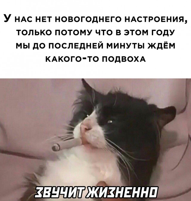 Картинки разные 30.12.20