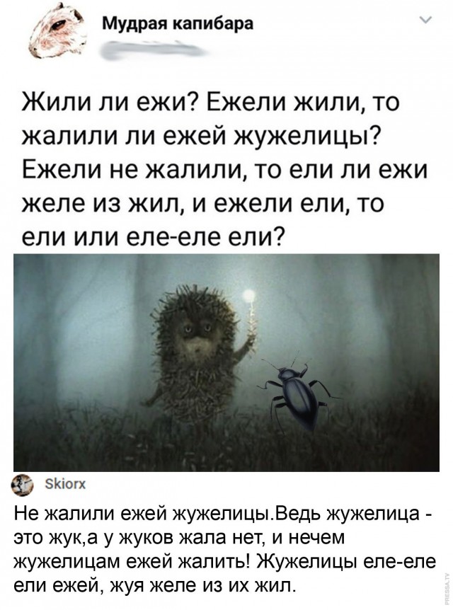 Картинки и мемы для настроения 015
