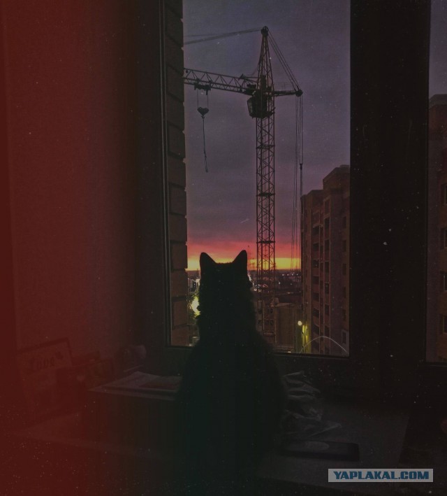 Эстетика е*еней